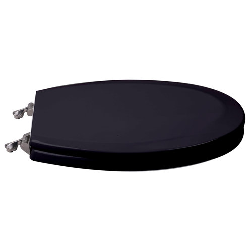 Wayfair Black Round Toilet Seats You'll Love in 2023
